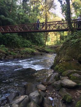 Waterfall river