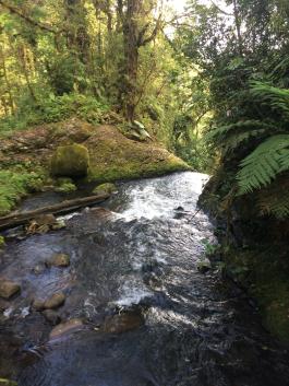Just before the waterfall.