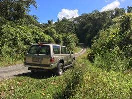 Toyota 4- Runner