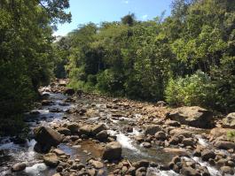 Rio Sarapiqui