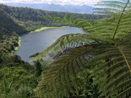 Laguna Hule