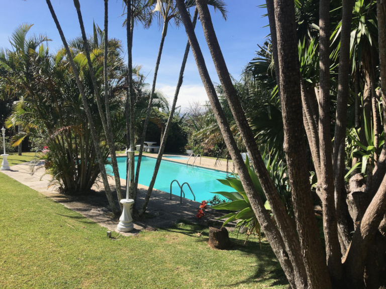 Our inviting pool
